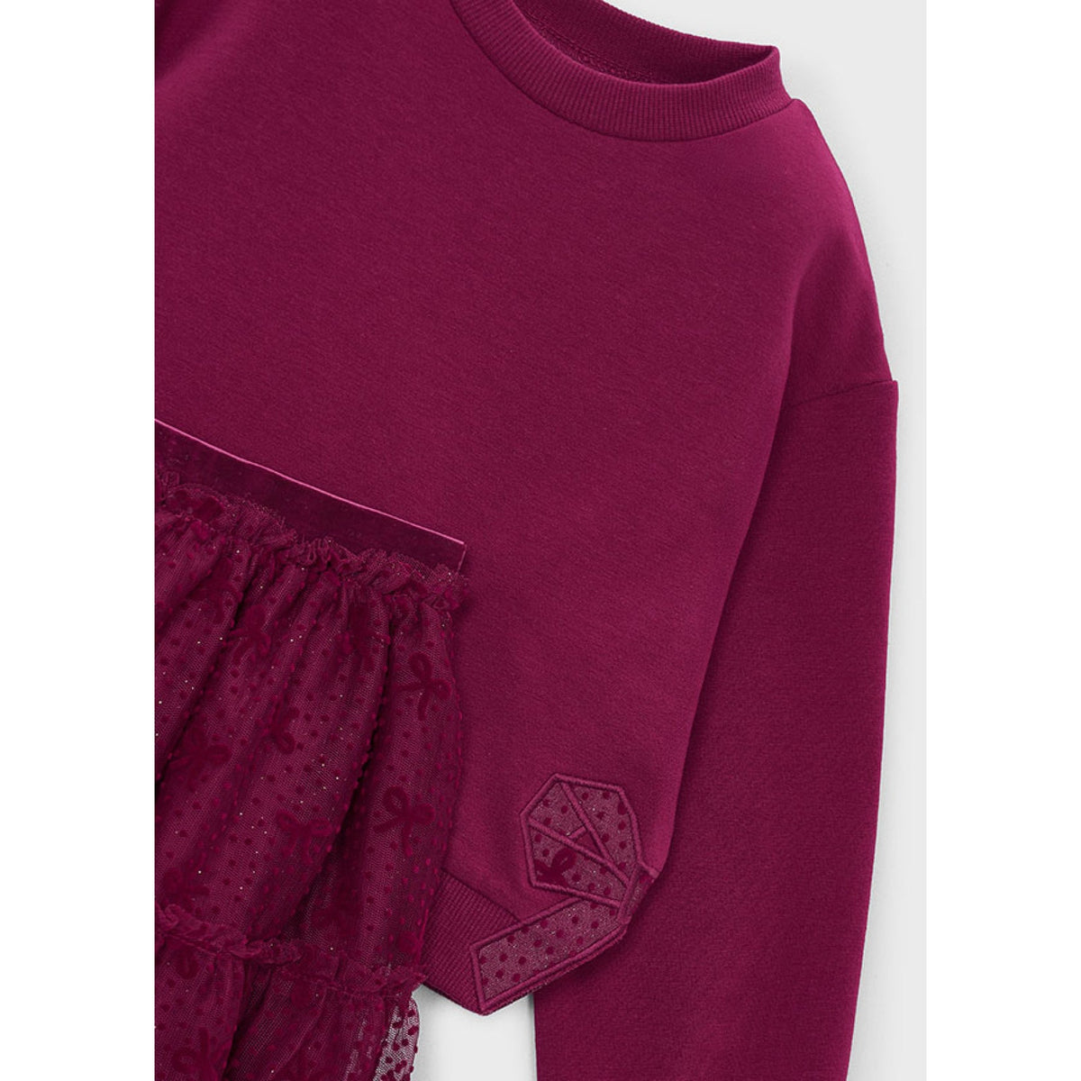 Cranberry Tulle Skirt Set