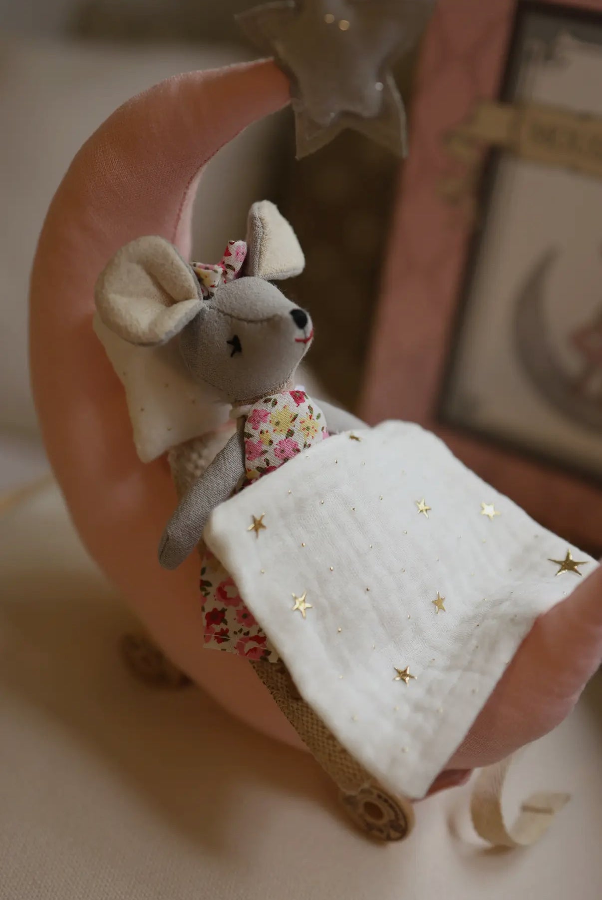 Mouse & the Moon