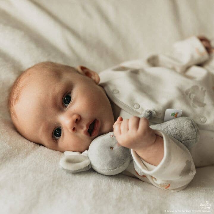 Friendly Chime Rattle-Gray Bunny