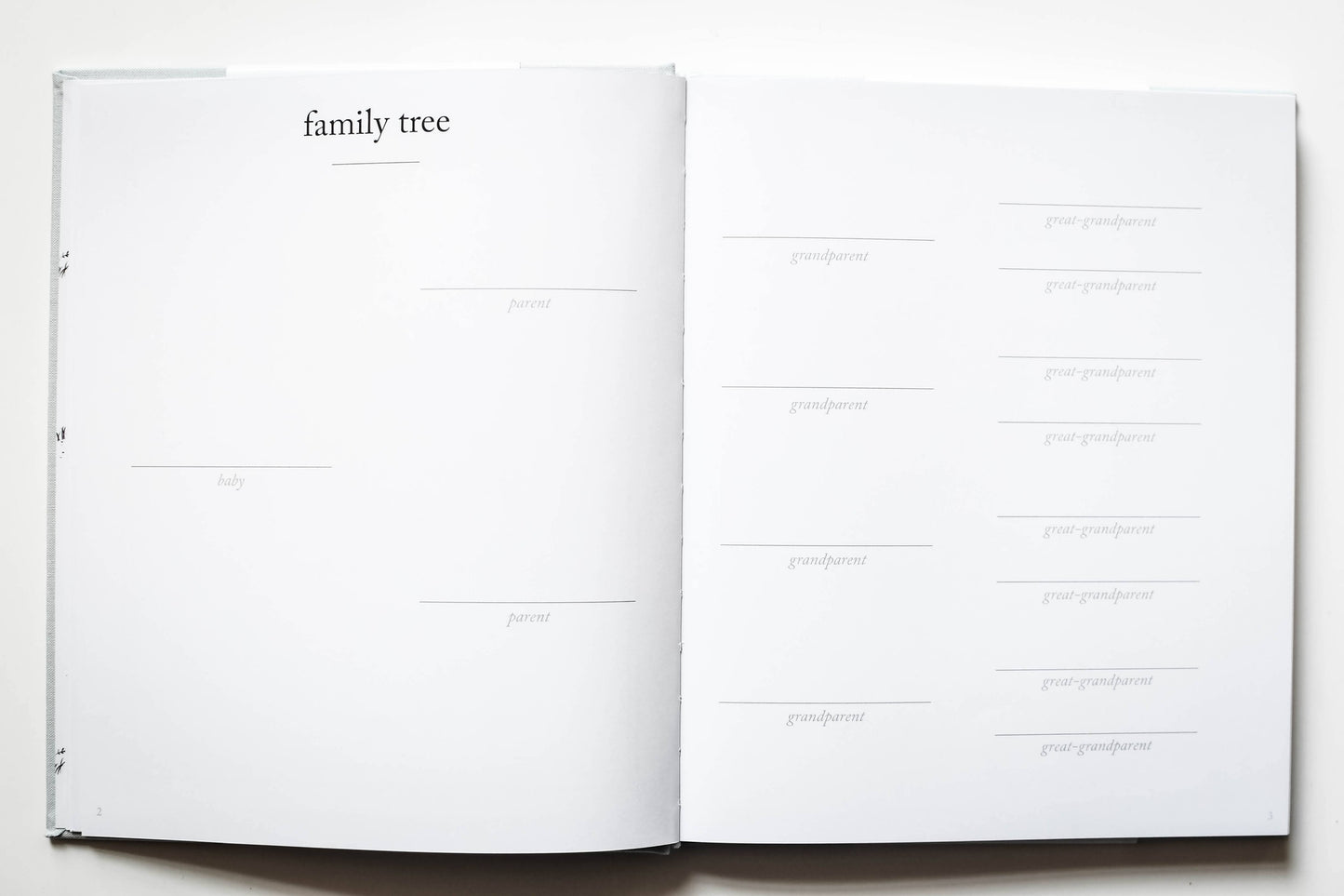 Baby's 1st Year Memory & Photo Book