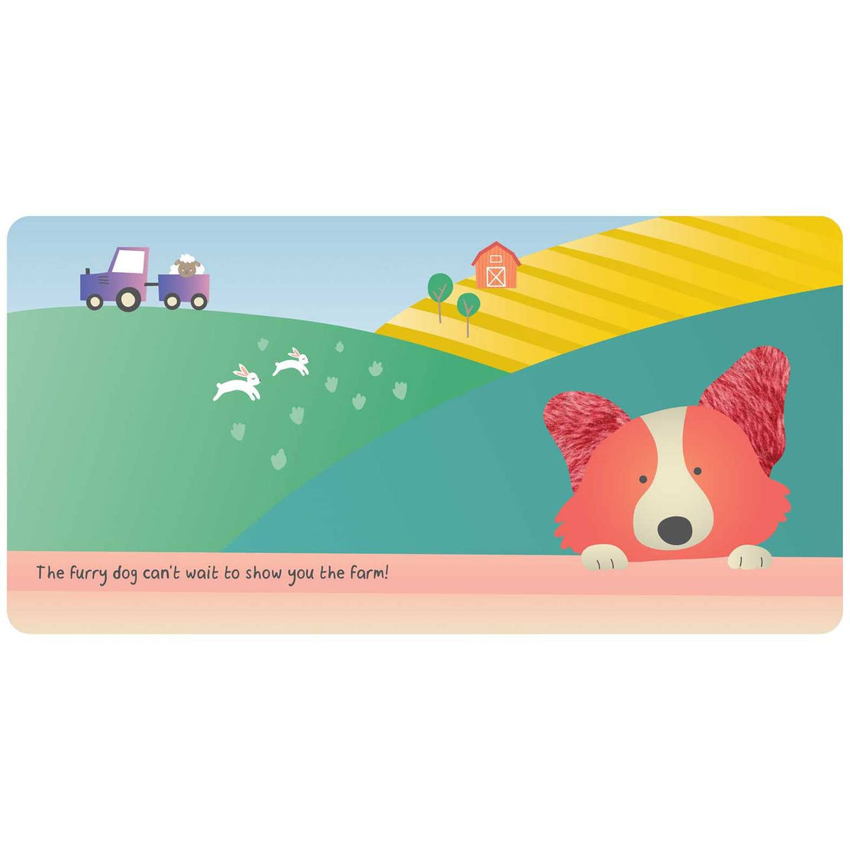 First Touch Farm Animals Book