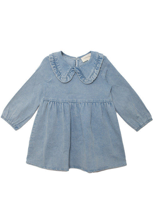 Denim Days Dress