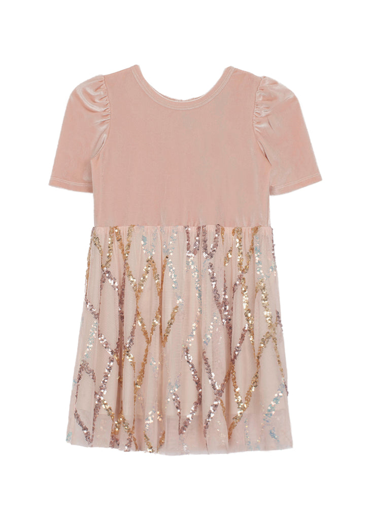 Ayla Velvet & Mesh Dress