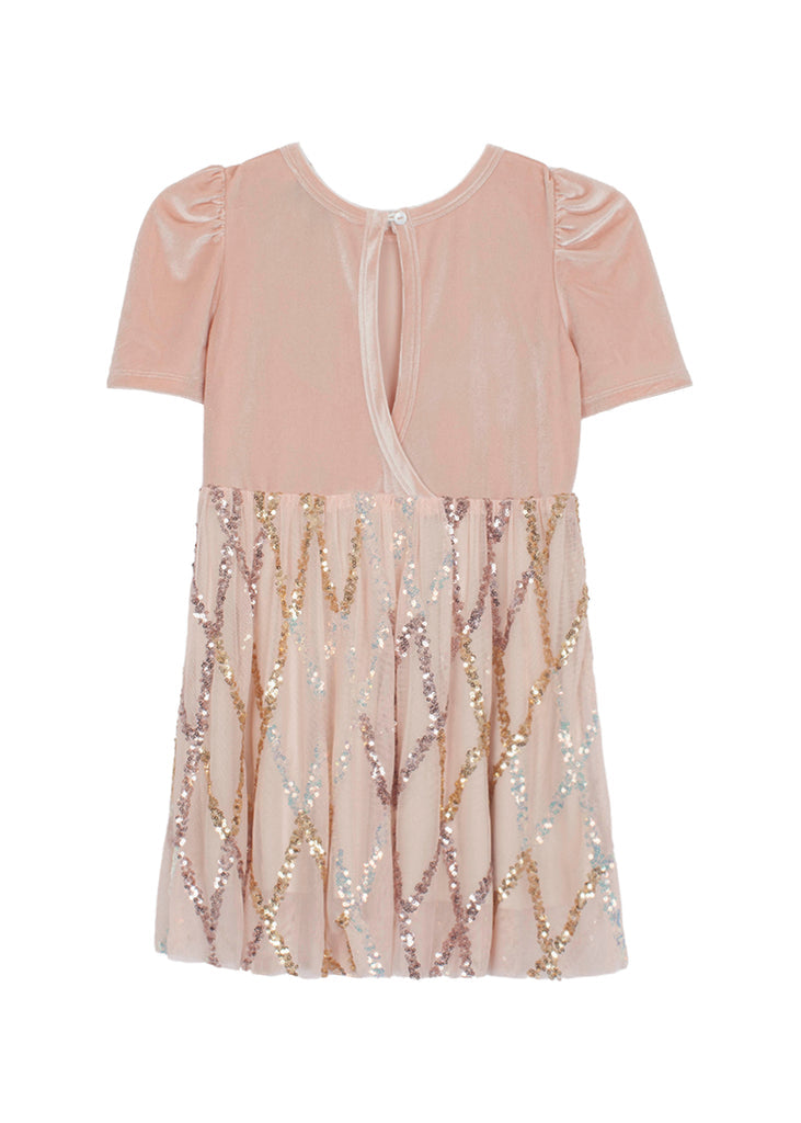 Ayla Velvet & Mesh Dress