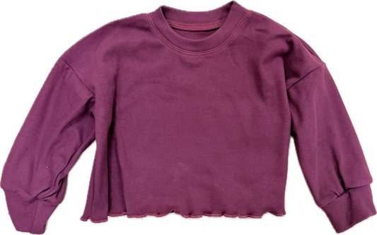 Maroon Crop Sweatshirt