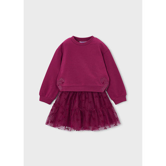 Cranberry Tulle Skirt Set