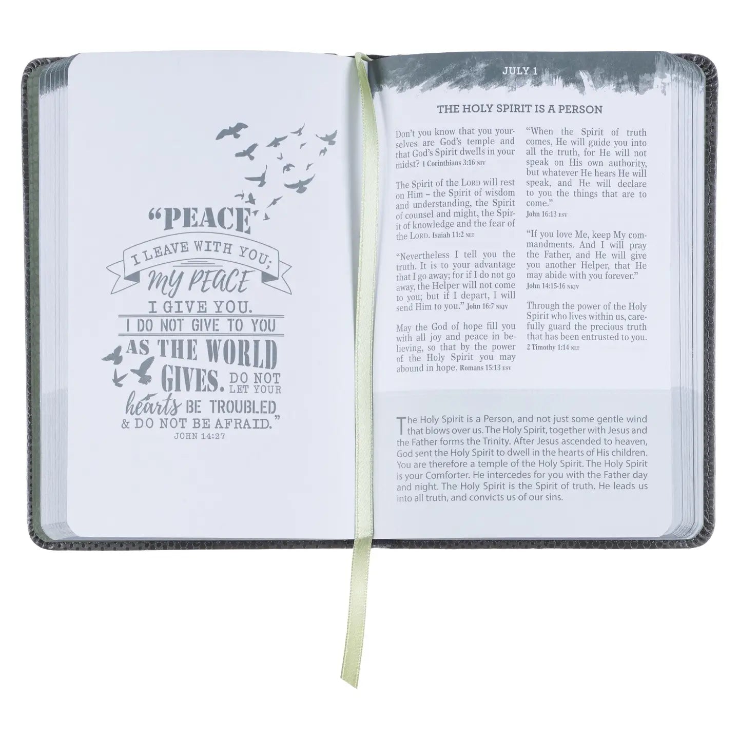 Pocket Devotional for Guys