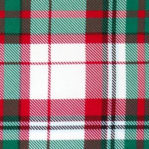 Dashing Dreams Plaid Twirl Dress