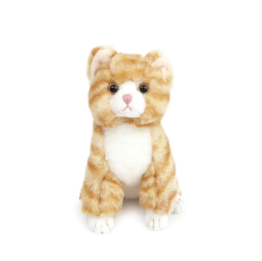 Chichi Kitty