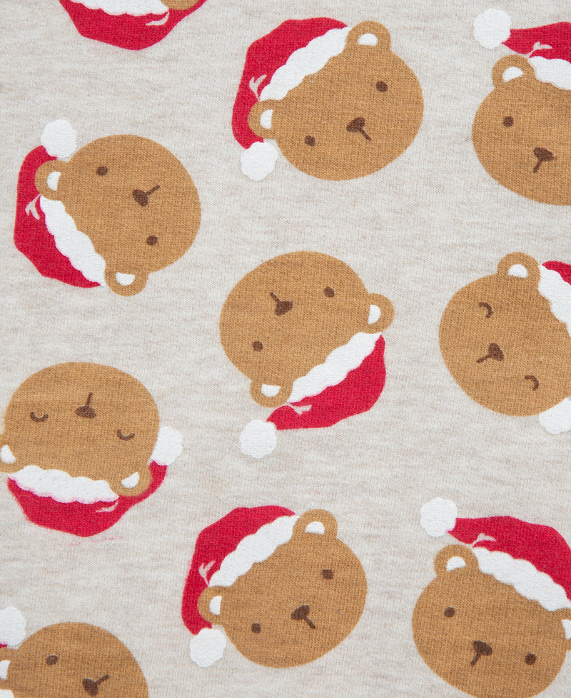 Santa Bear Set