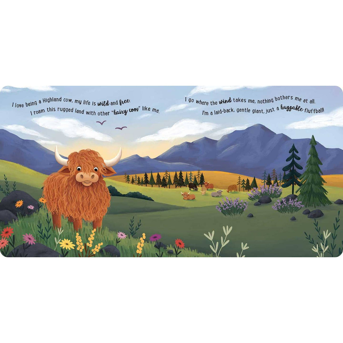 Highland Cow Book