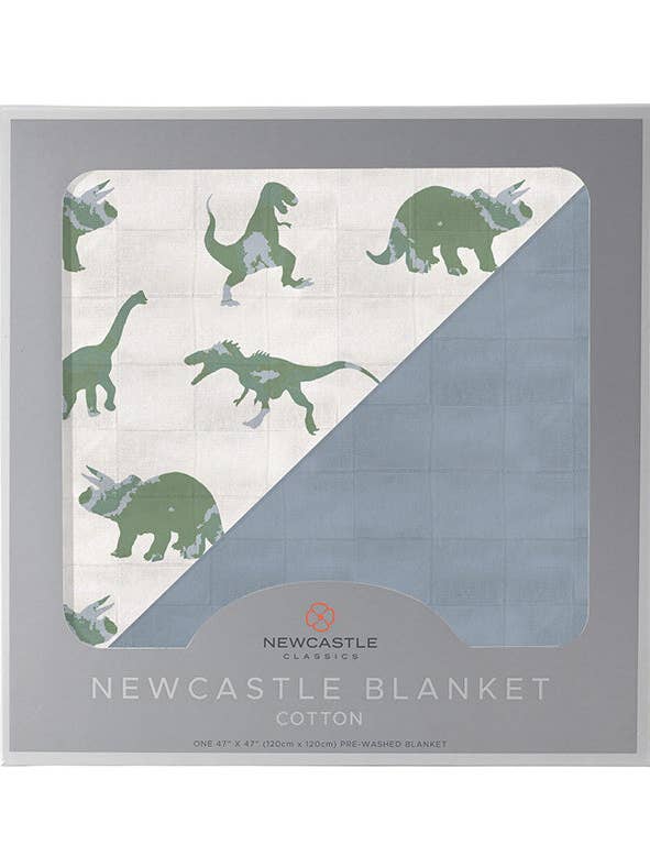 Dino/Blue Fog Blanket