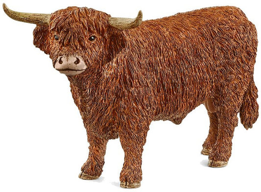 Highland Bull