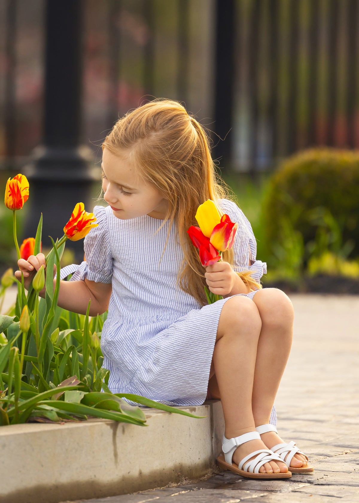 Darling Bluebell Dress