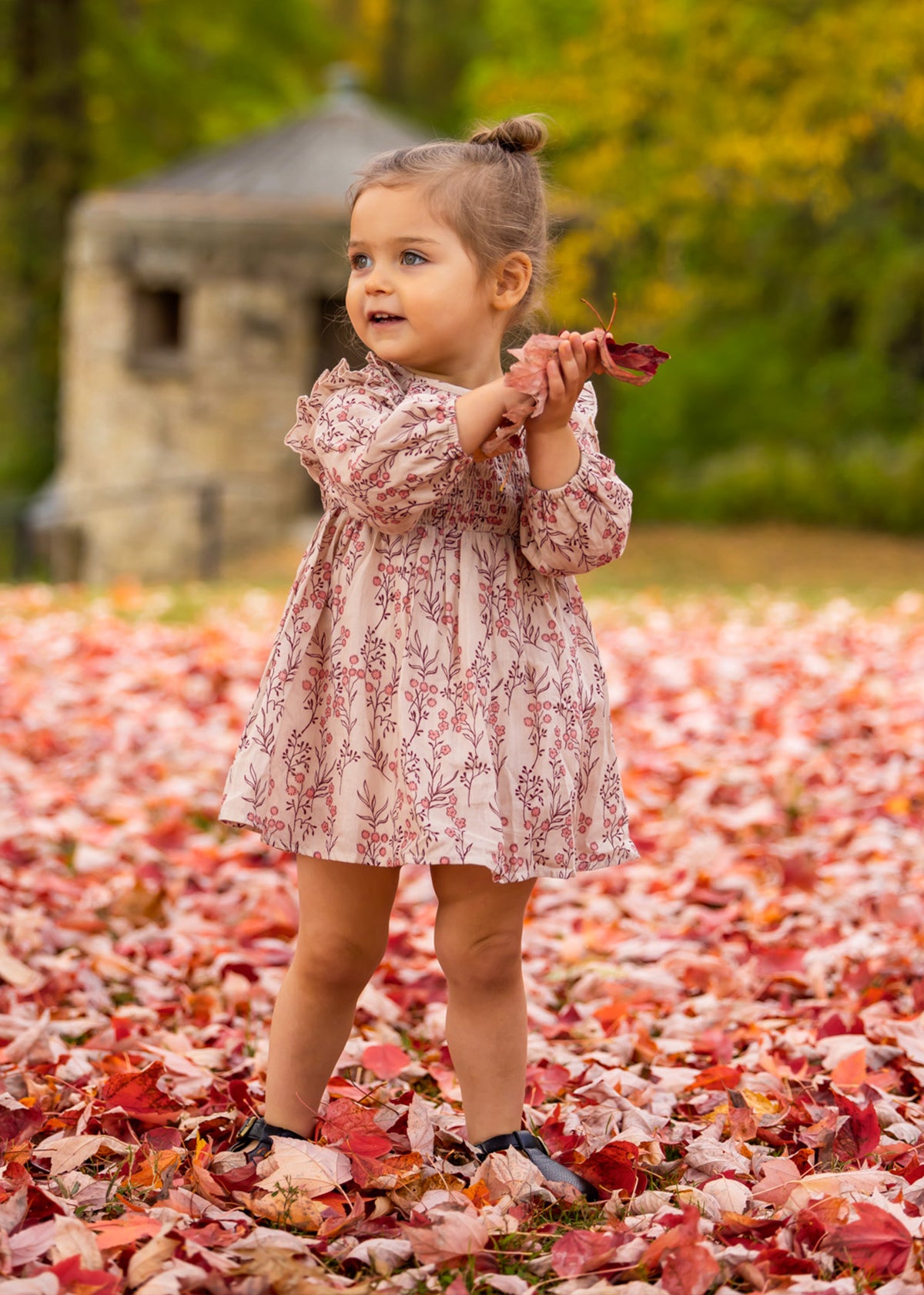 Autumn Dress - Brown