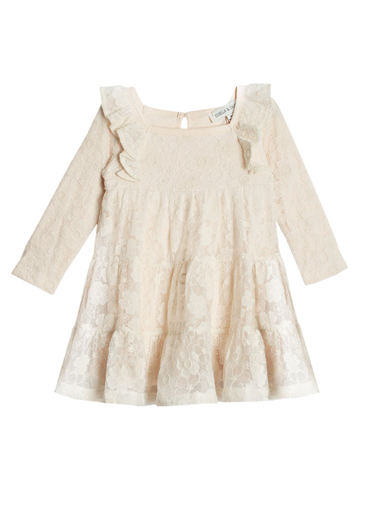 Harmony Embroidered Soft Netting Dress